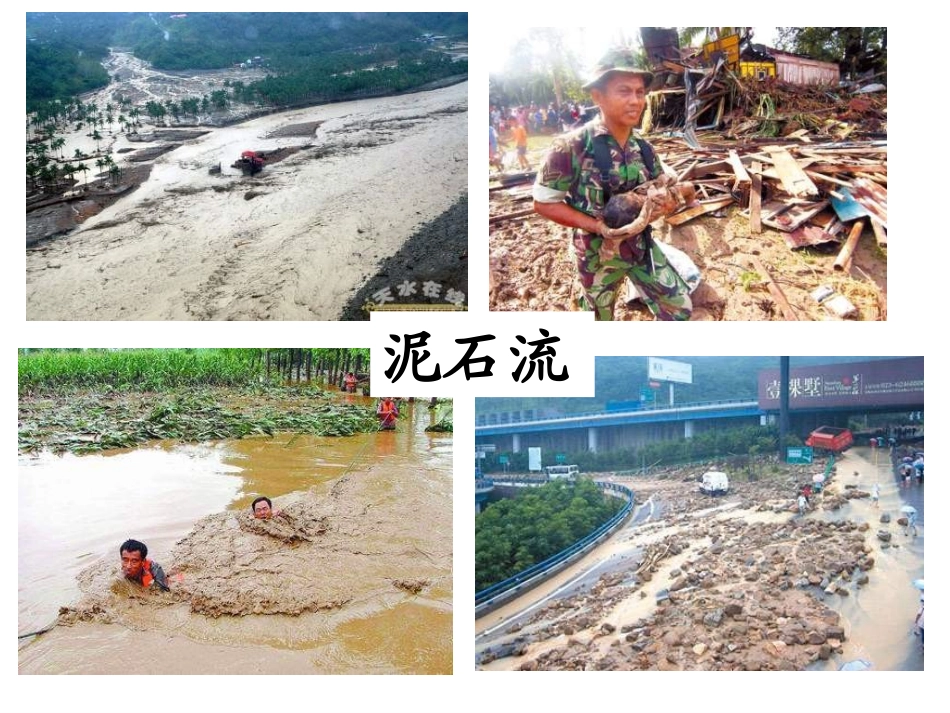 8.教科版小学科学五年级上册第三单元《减少对土地的侵蚀》课件_第3页