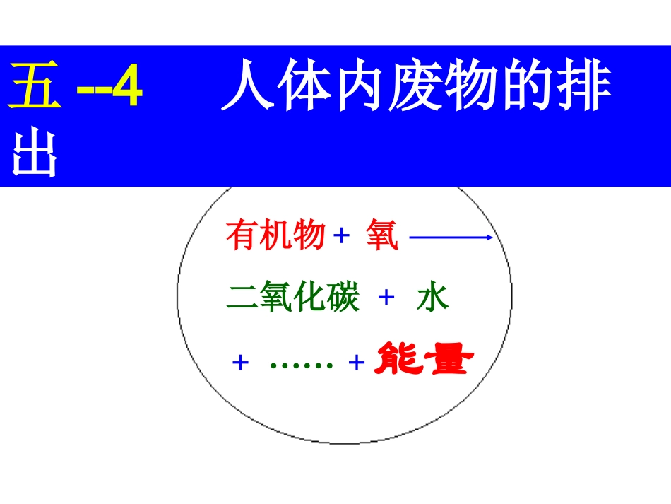 专题五—4_人体内废物的排出_第1页