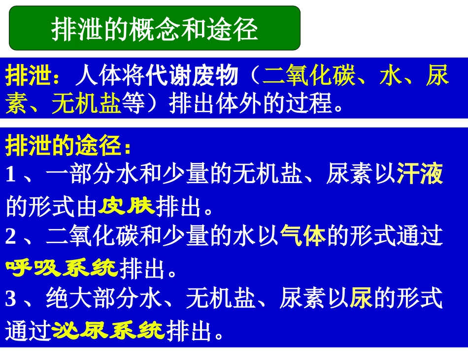 专题五—4_人体内废物的排出_第2页
