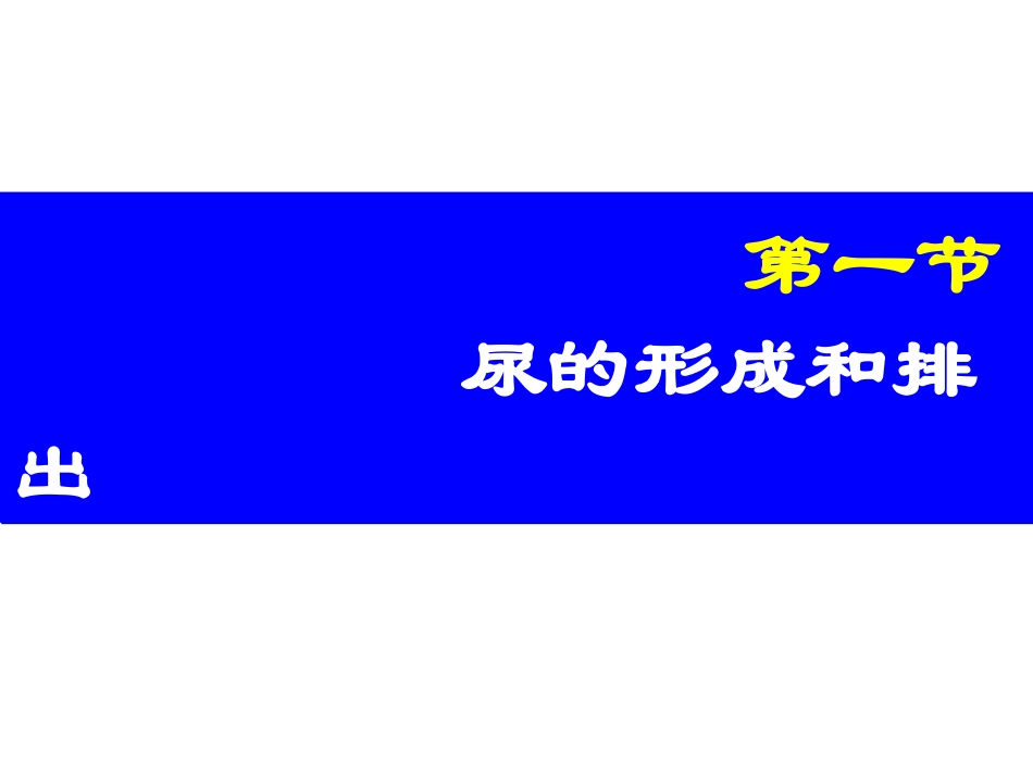 专题五—4_人体内废物的排出_第3页