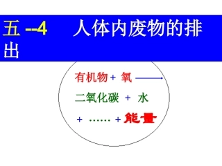 专题五—4_人体内废物的排出