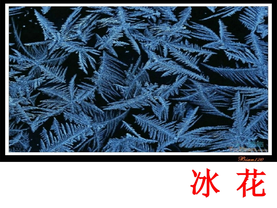 《冰花》第二课时课件_第3页