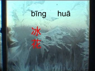 《冰花》第二课时课件