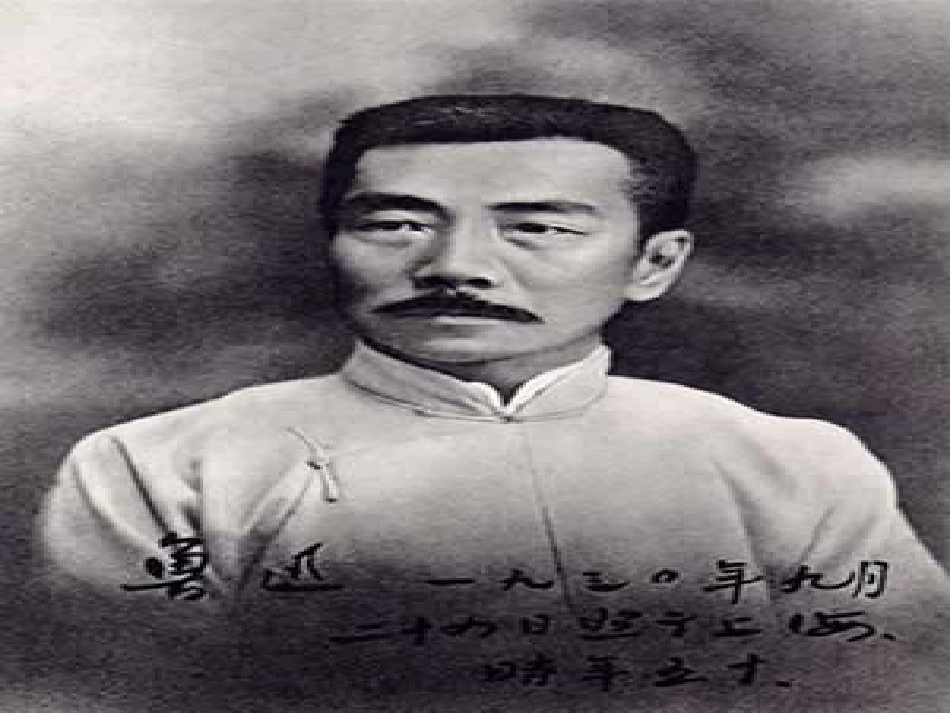 《一面》完美版ppt_第2页