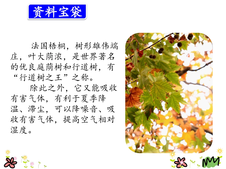 《铺满金色巴掌的水泥道》优质课件_第3页