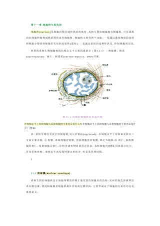 细胞核与染色体