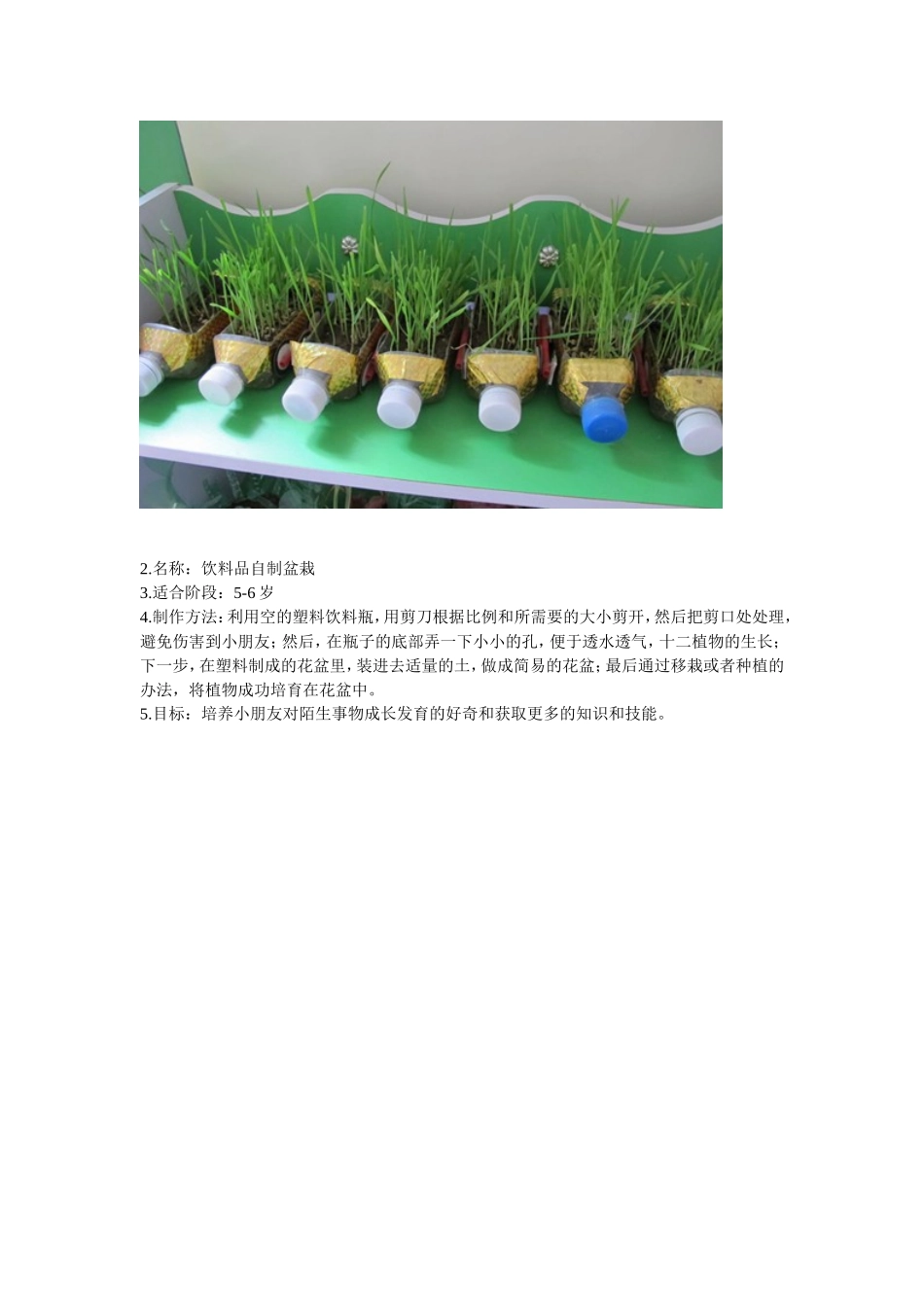 简易盆栽+吕欣+山西晋中左权桐峪学校_第2页