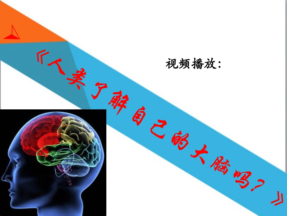 ——揭秘脑结构学习_第2页