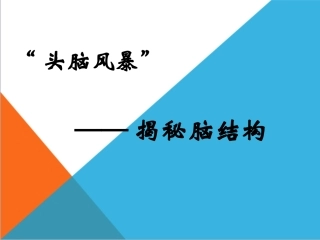 ——揭秘脑结构学习