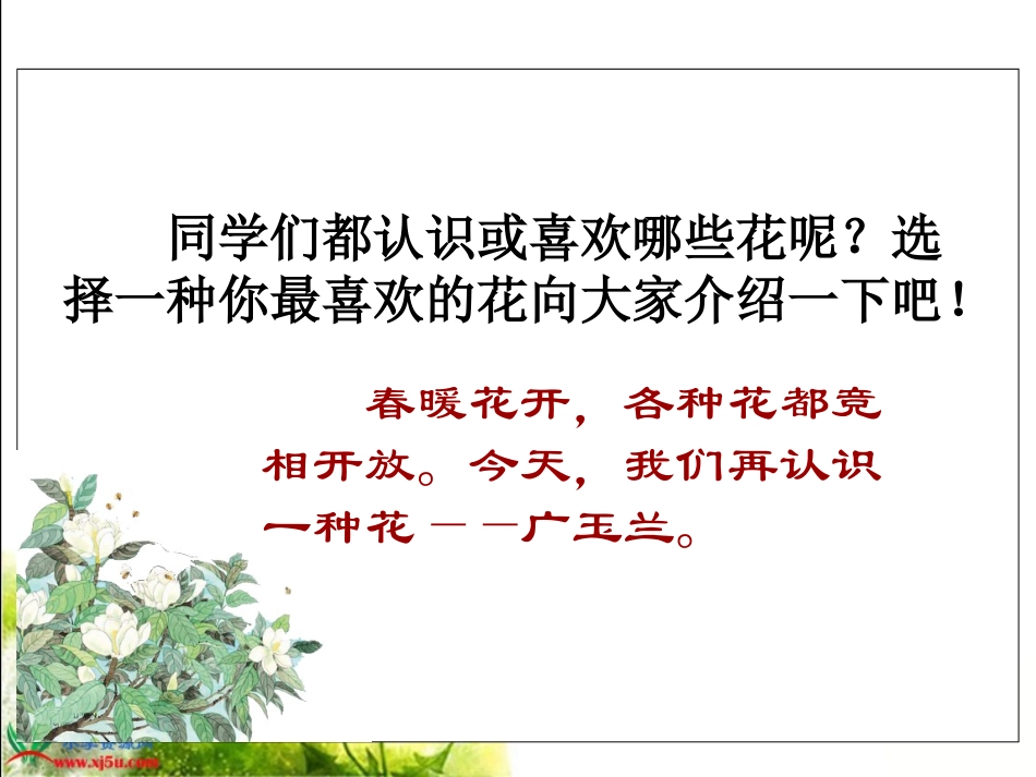 《广玉兰》PPT课件(苏教版六年级语文下册课件)[1]_第1页