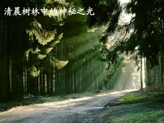 分散系及其分类(优质课课件)2