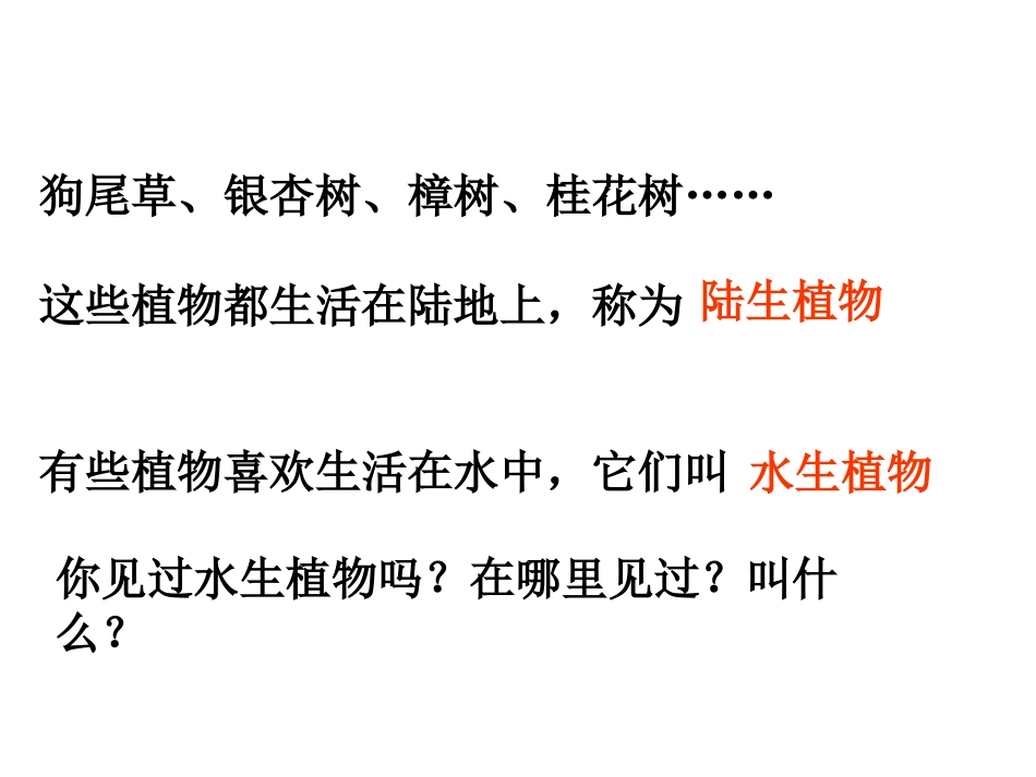 1.4观察水生植物_第2页