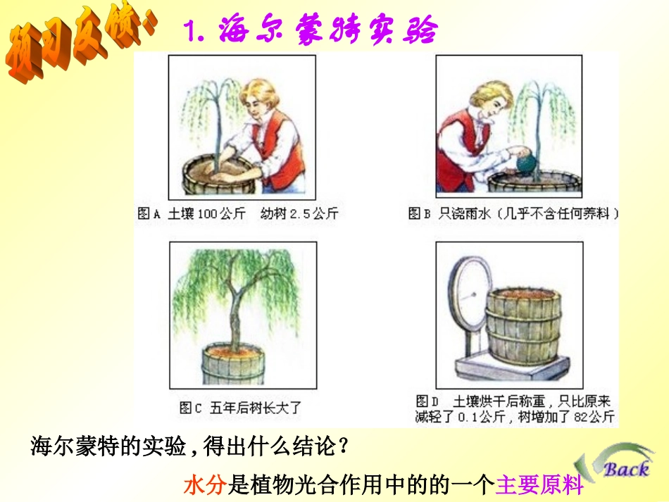 植物的光合作用_第2页