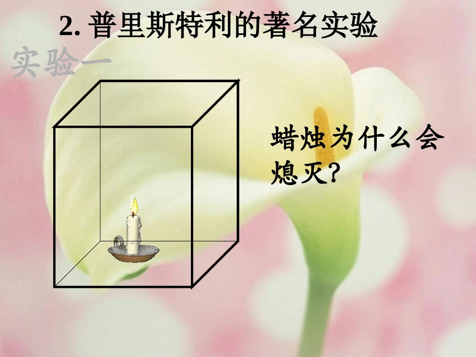 植物的光合作用_第3页