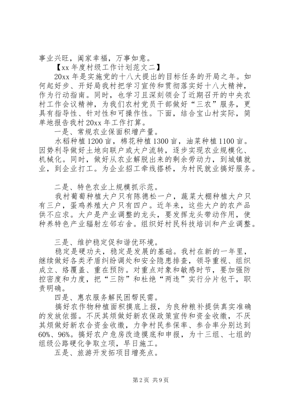 XX年度村级工作计划_第2页