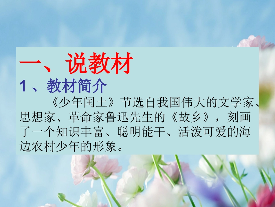 《少年闰土》说课PPT_第2页