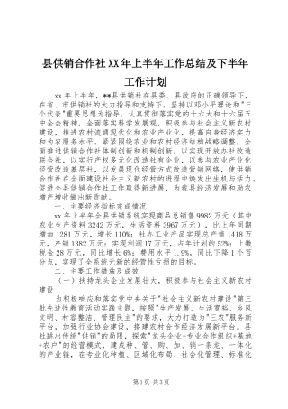 县供销合作社XX年上半年工作总结及下半年工作计划