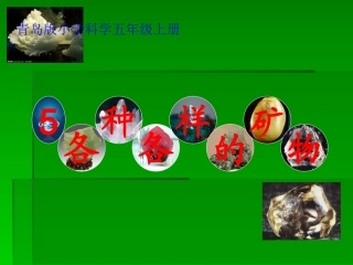 《各种各样的矿物》