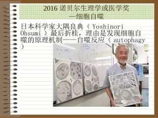 上海交通大学 人工神经网 课程 第四讲