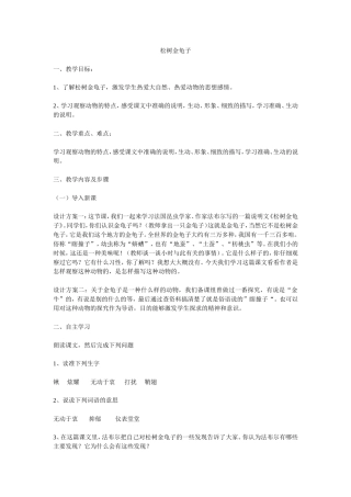 松树金龟子教案