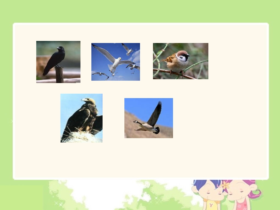 《识字8》课件_第3页