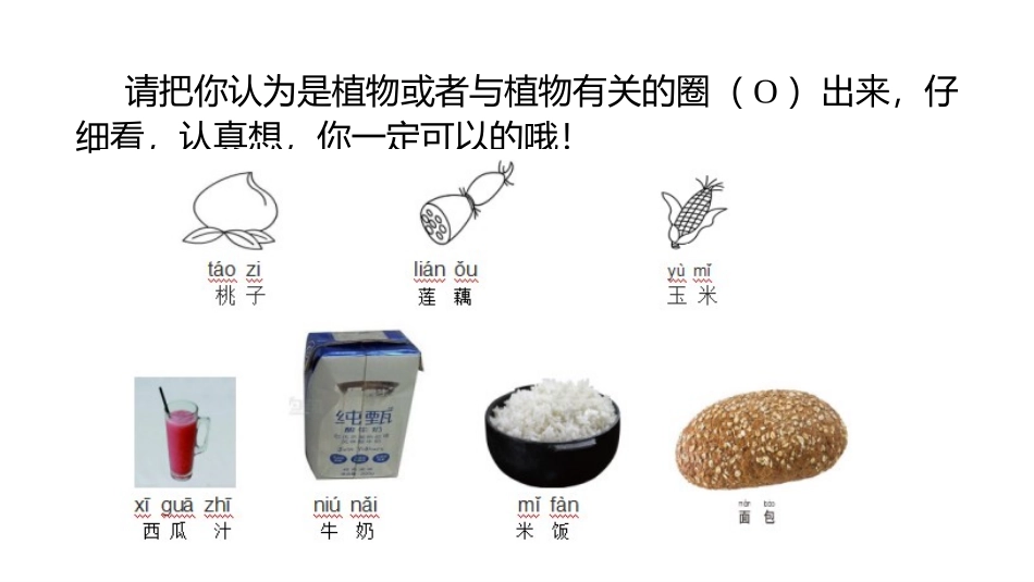《我们离不开植物》优质公开课PPT_第3页