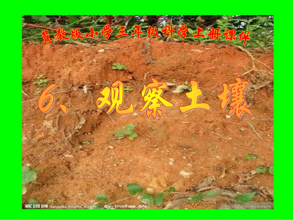 《观察土壤》_第1页