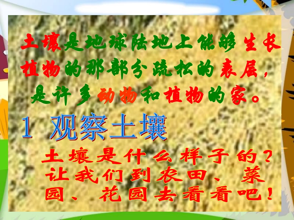 《观察土壤》_第3页