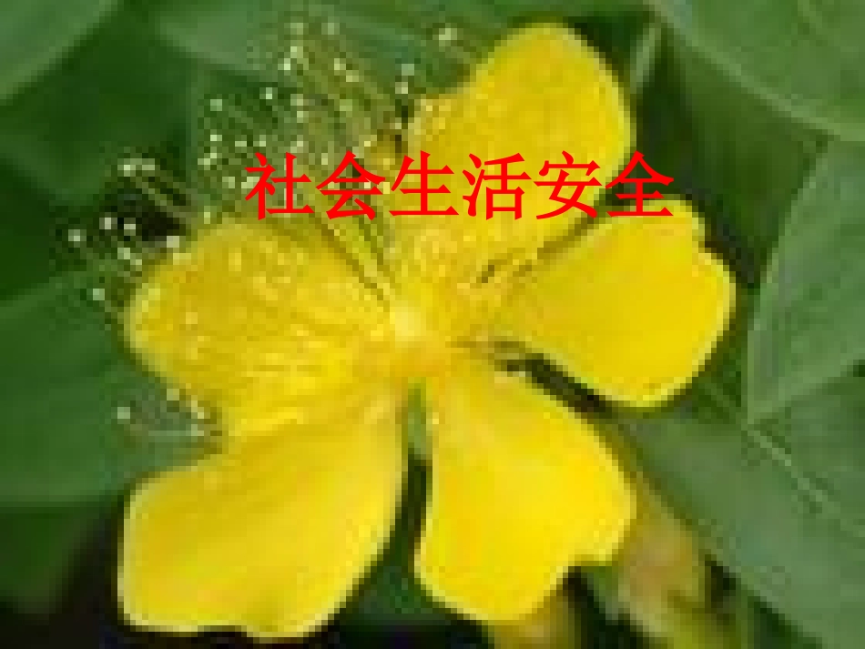 社会生活安全_第1页