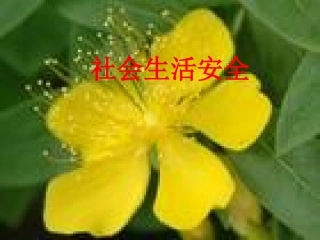 社会生活安全