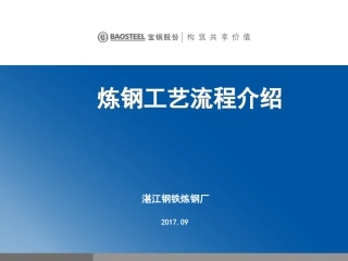 1炼钢工艺流程介绍(2017.09)(2)