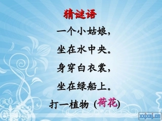 荷花第一课时课件
