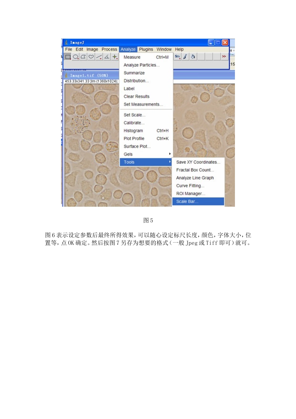 Image J软件给图片添加标尺_第3页
