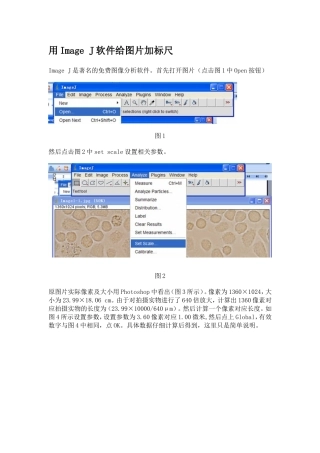 Image J软件给图片添加标尺