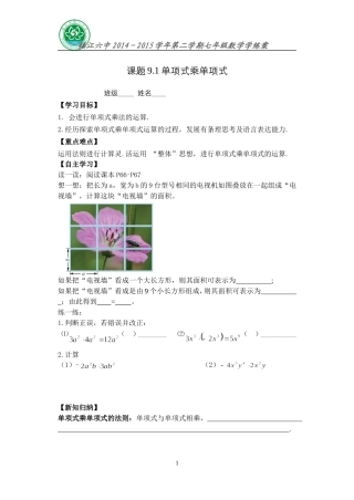 单项式乘单项式 (2)
