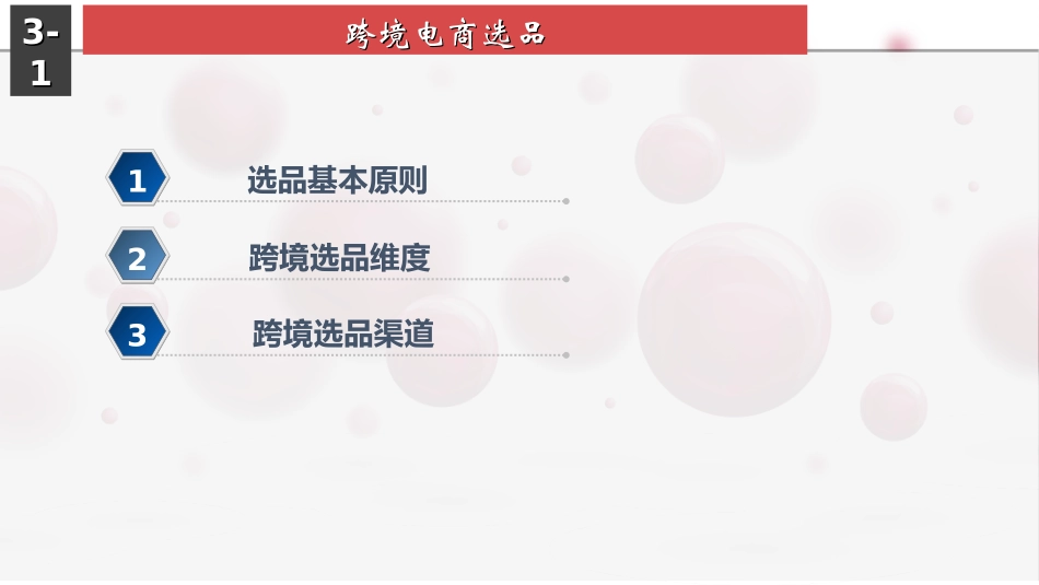 3-1跨境电商选品1006_第3页