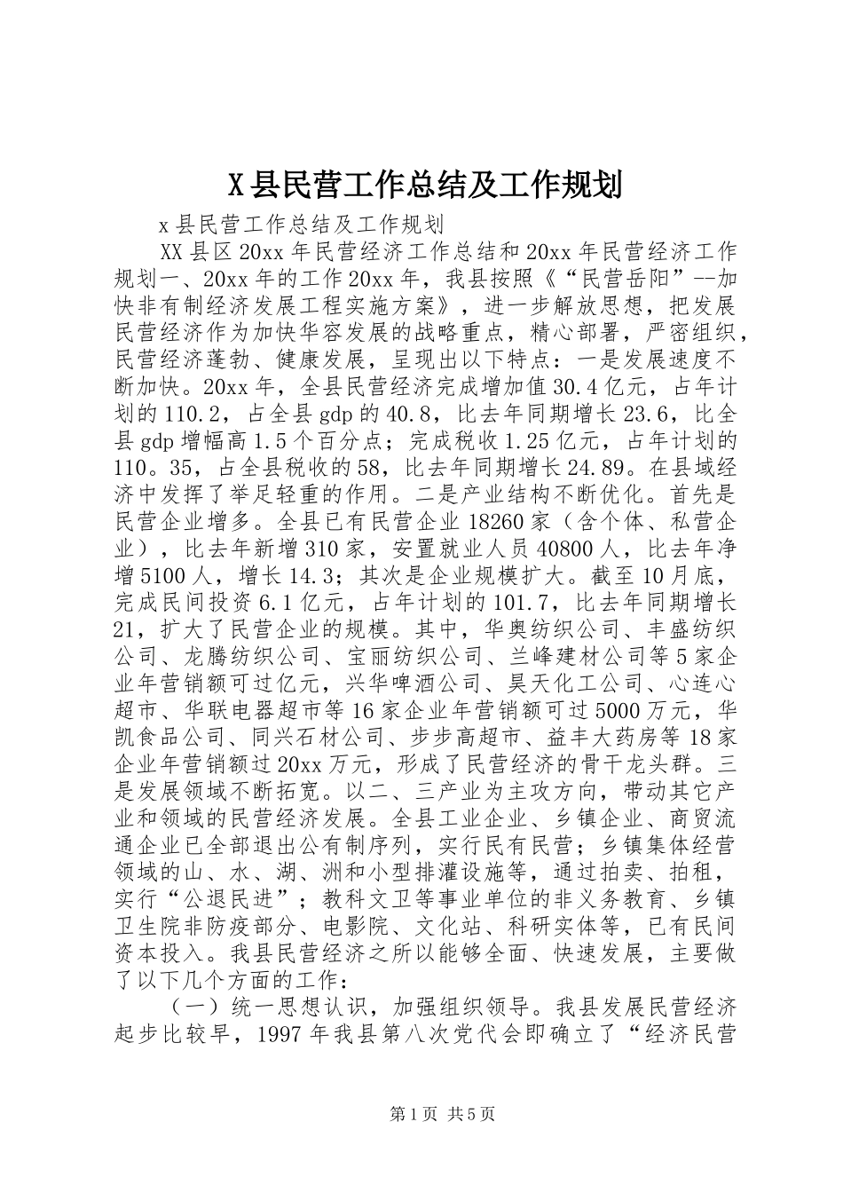 X县民营工作总结及工作规划_第1页