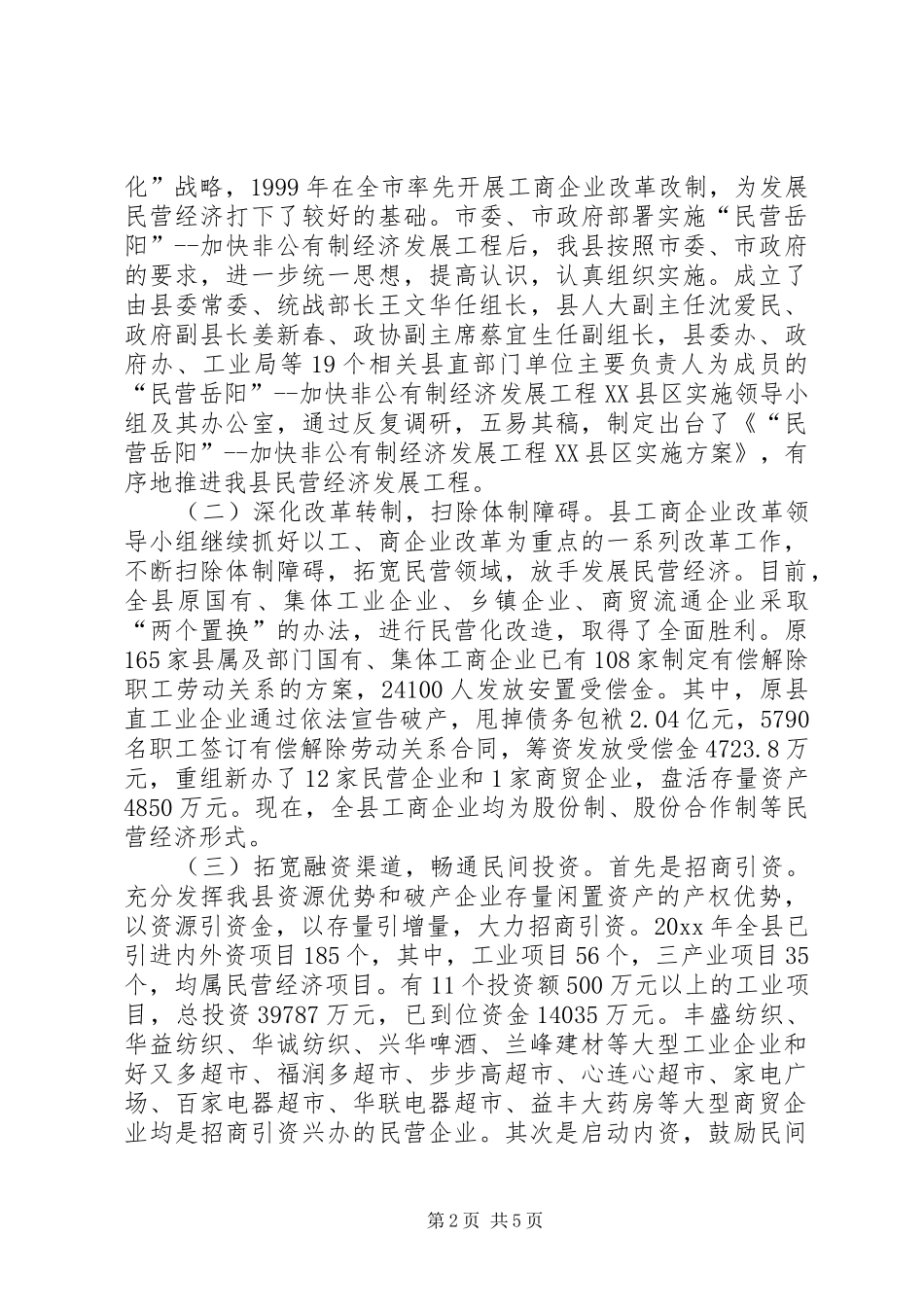 X县民营工作总结及工作规划_第2页