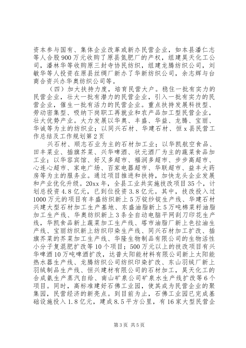 X县民营工作总结及工作规划_第3页