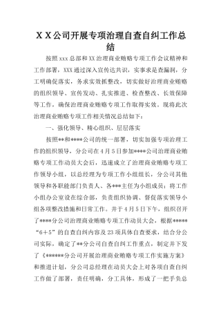 XX公司开展专项治理自查自纠工作总结