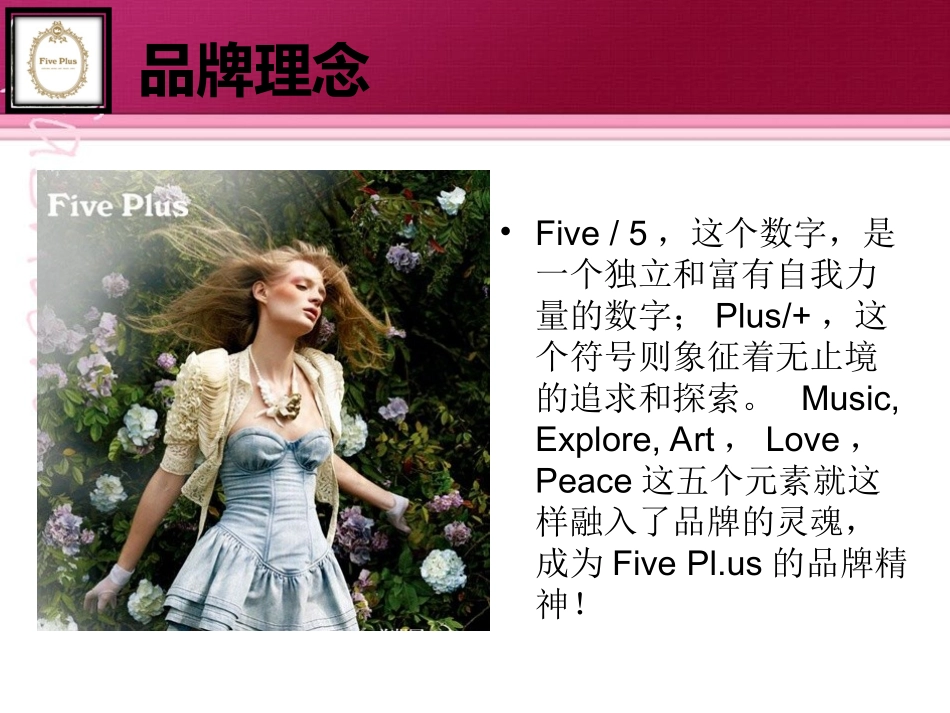 Five Plus品牌调研_第3页