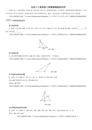 专训2 三角形的三种重要线段的应用 (2)