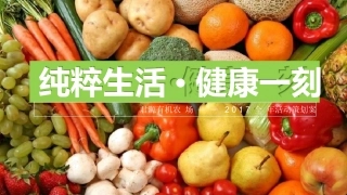 “纯粹生活,新鲜一刻”--有机农场全年活动推广方案