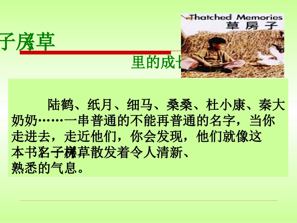 《草房子》ppt_第3页
