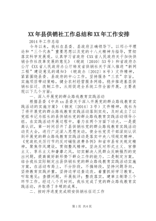 XX年县供销社工作总结和XX年工作安排
