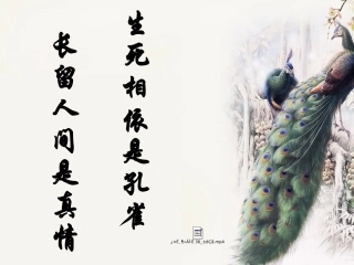 《孔雀东南飞》公开课一等奖.ppt