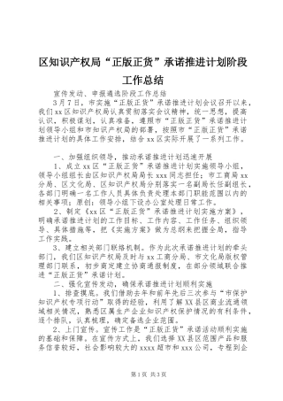 区知识产权局“正版正货”承诺推进计划阶段工作总结