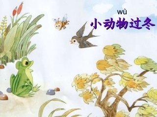 小动物过冬(上课)