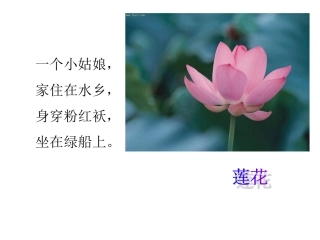 三年级科学《水生植物》