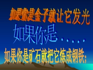 《金属材料》ppt课件